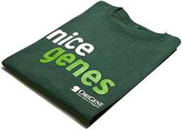 Photo of T-Shirt