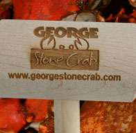 Sample Photo 7